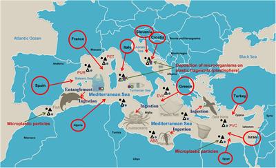 Microplastics in the Mediterranean Sea: Sources, Pollution Intensity, Sea Health, and Regulatory Policies